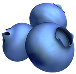 Wild blueberries